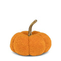 Small Fuzzy Pumpkin