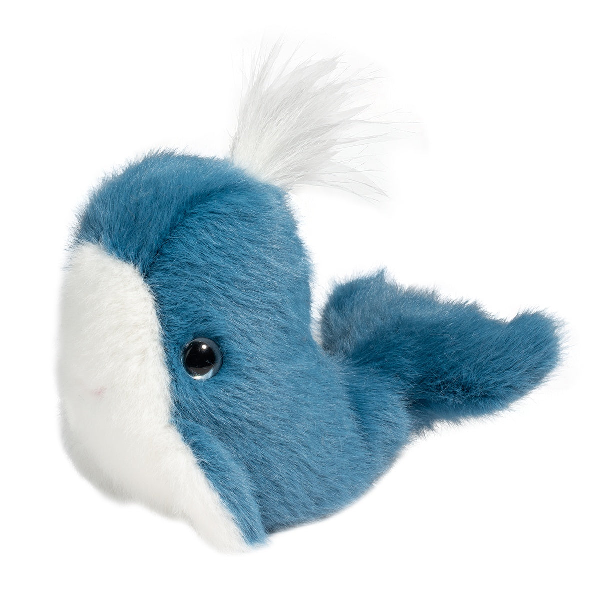 Douglas - Lil Baby Whale