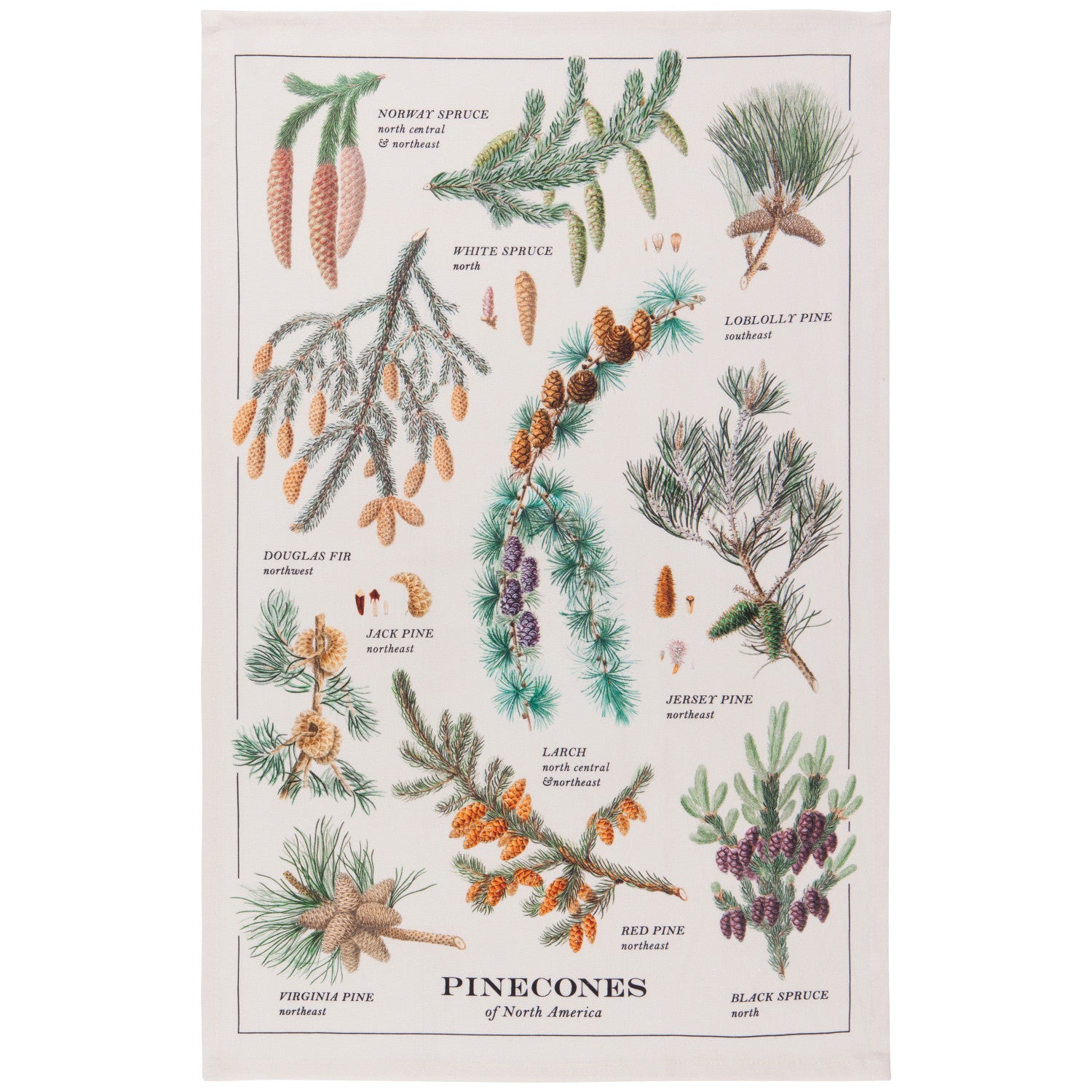 Printed Tea Towels