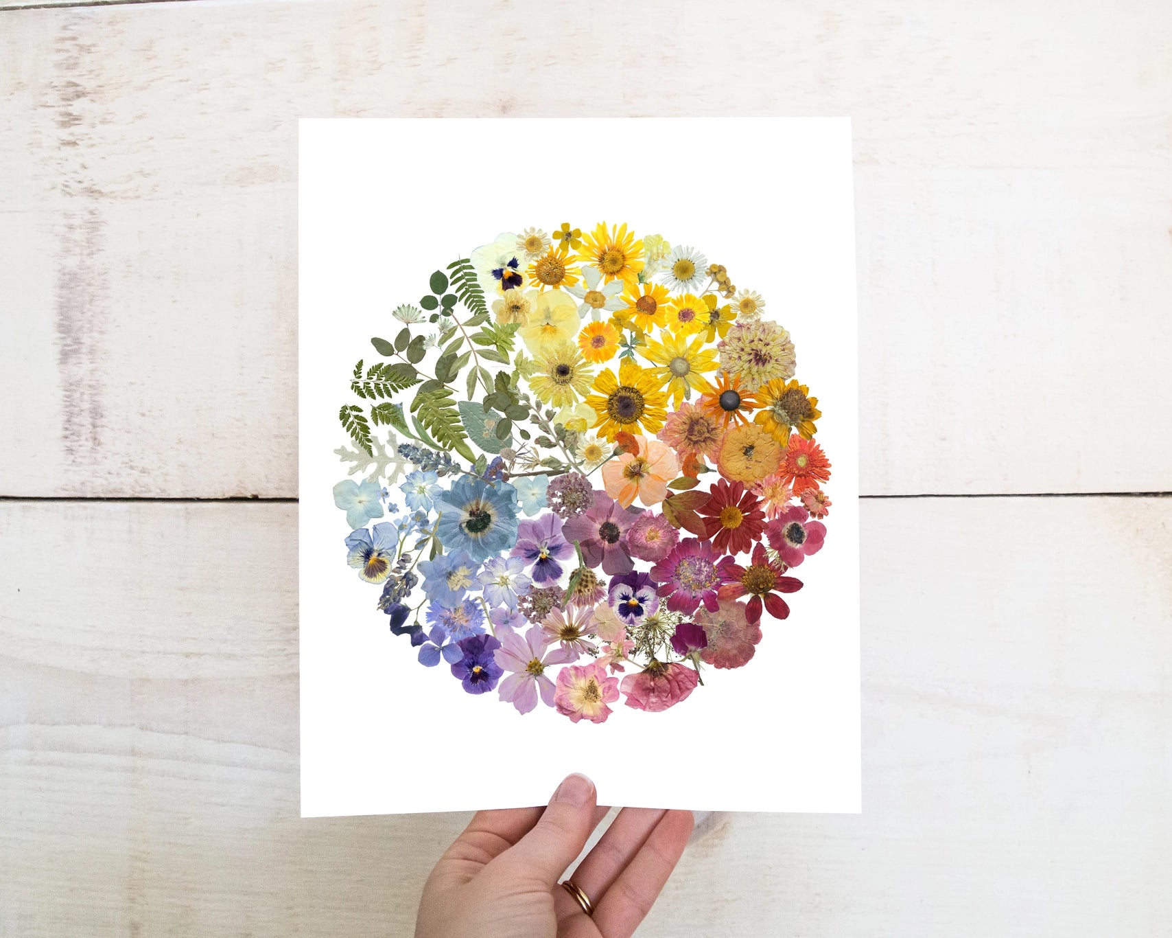 Seek & Bloom - Prints