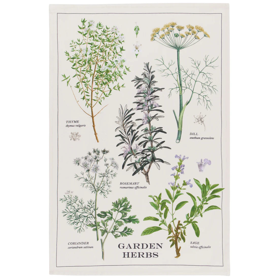 Printed Tea Towels