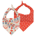 Set of 2 Dog Bandana
