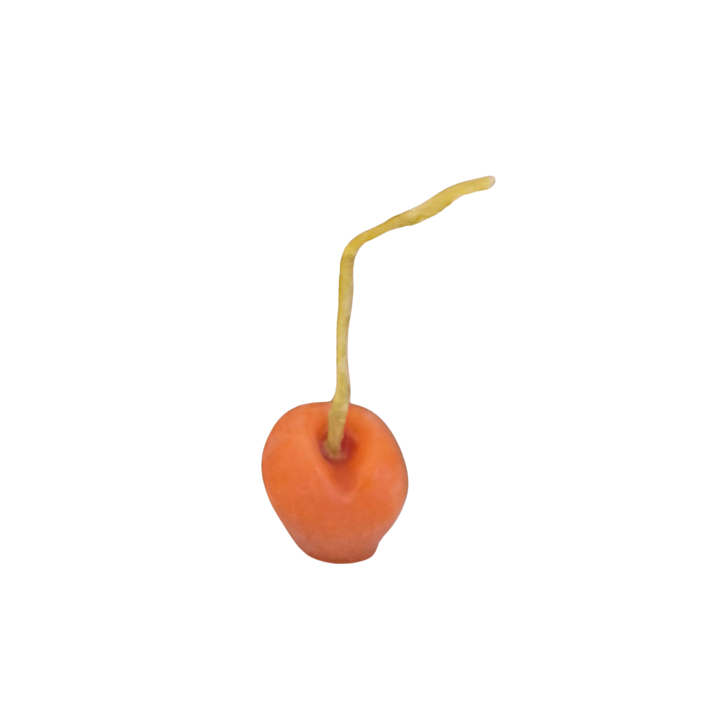 Bee Svit - Wax Candles