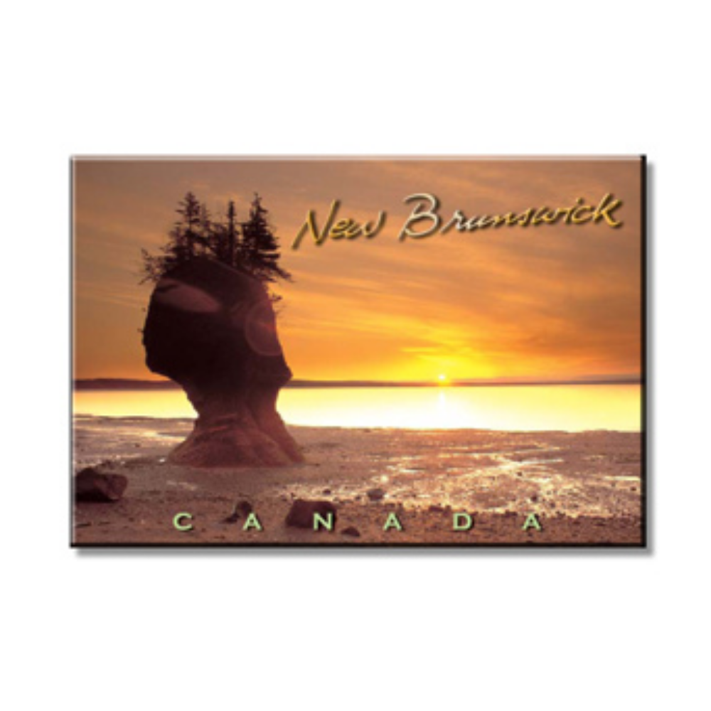 Postcard Factory - Photo Magnets