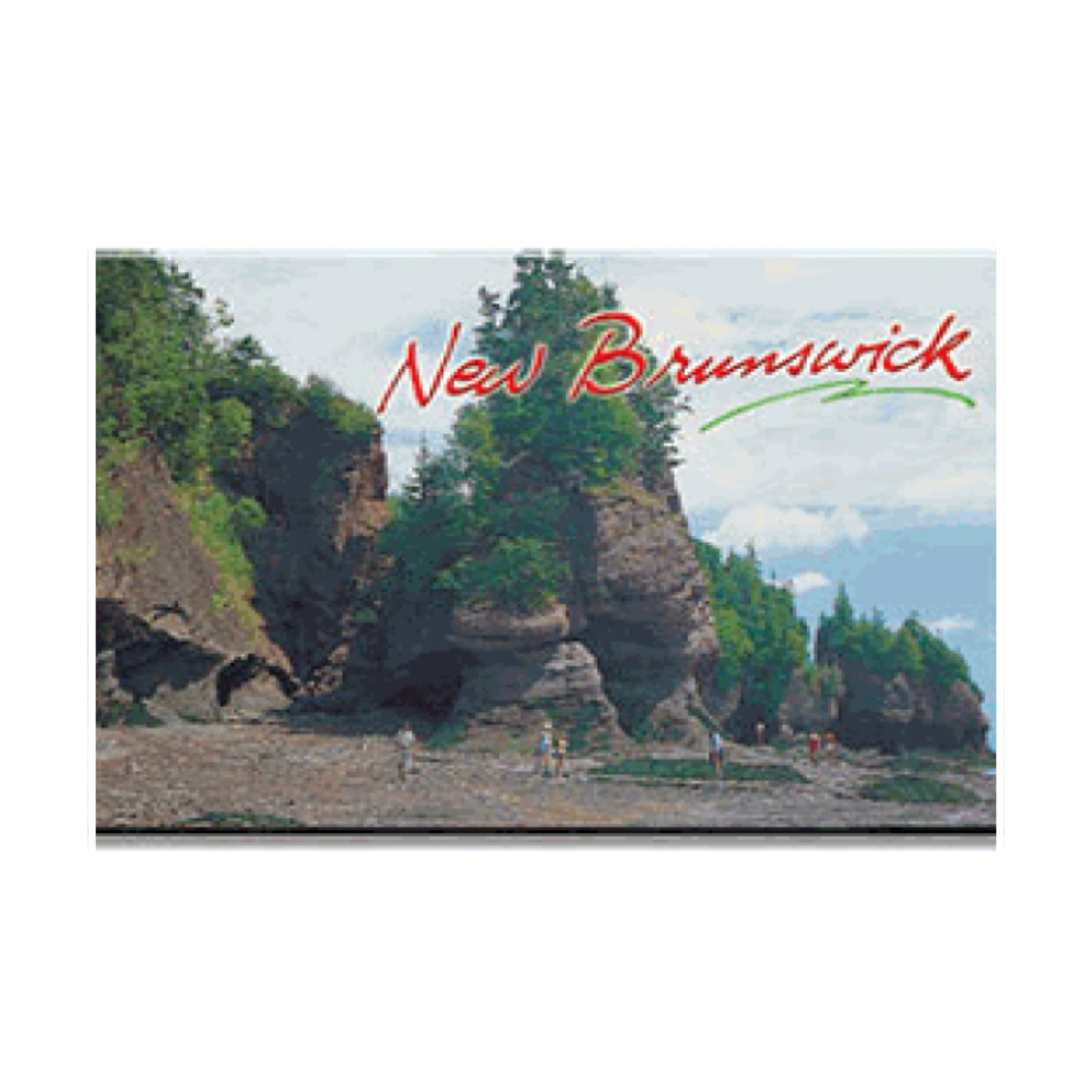 Postcard Factory - Photo Magnets