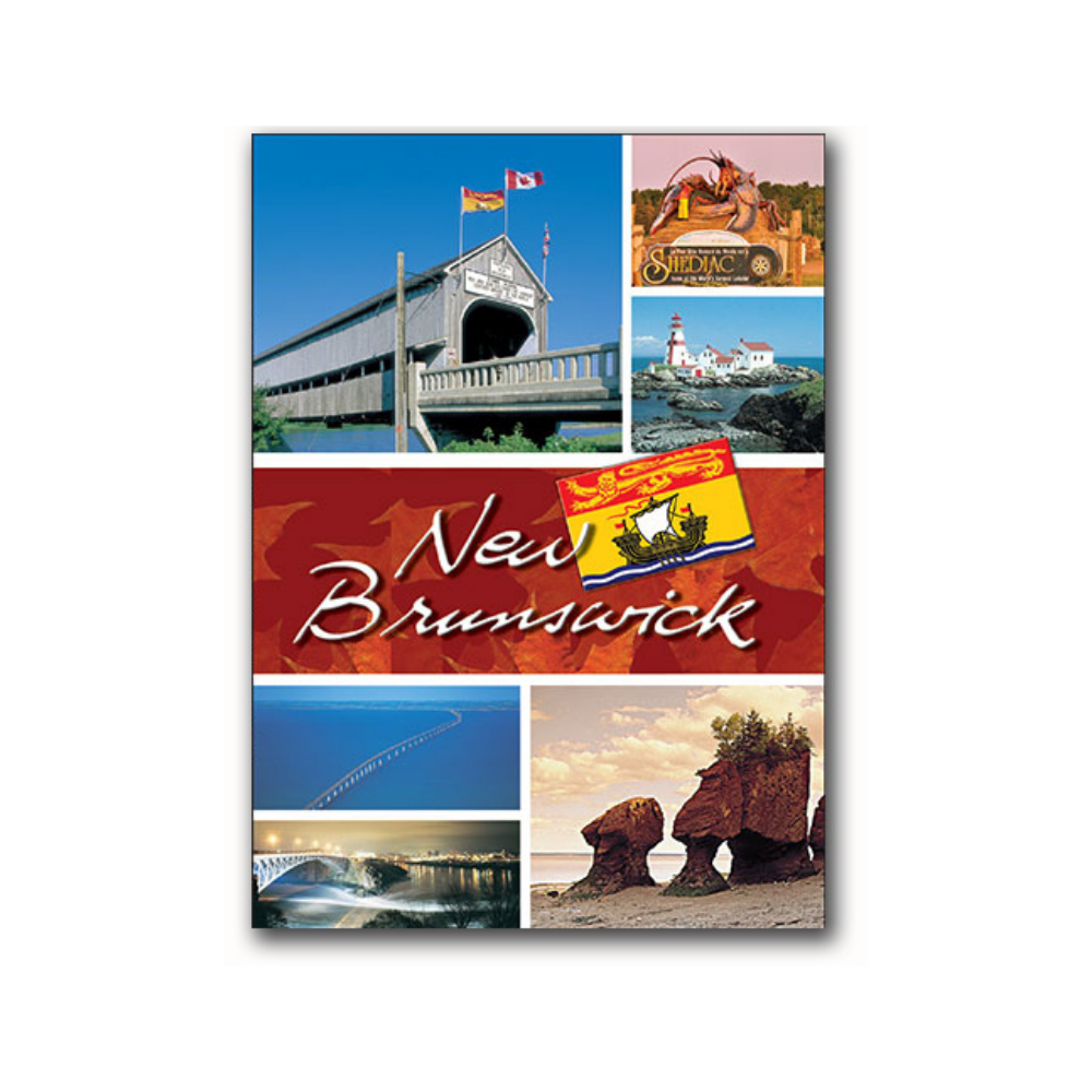 Postcard Factory - Photo Magnets